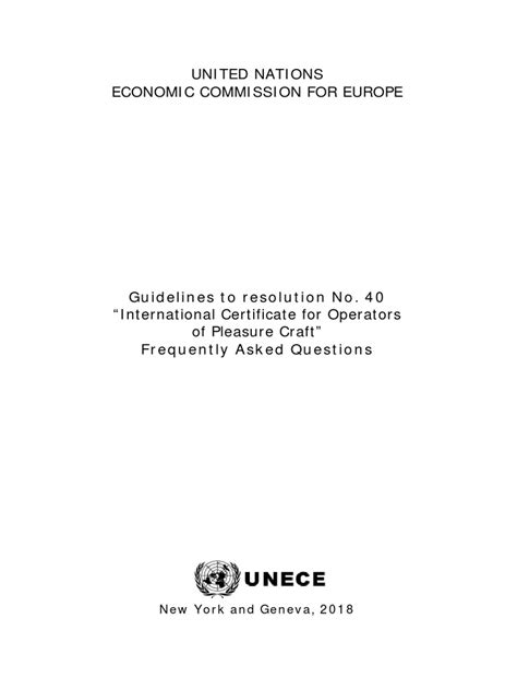 Revision of the Guidelines to Resolution No. 40 “International 